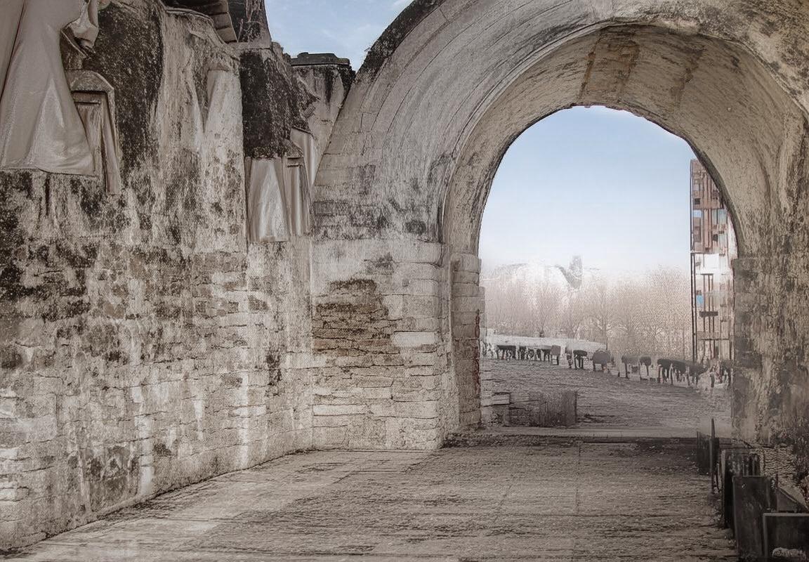 贝内文托VS费拉拉：焦点对决前瞻与积分榜关键战役分析(图4)